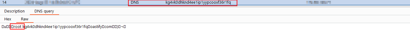 Burp Collaborator receiving DNS callback confirming root execution